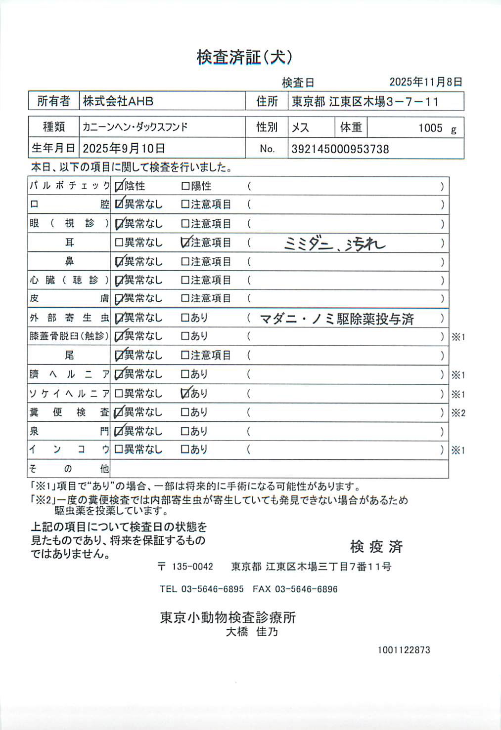 カニーンヘン・ダックスフンド