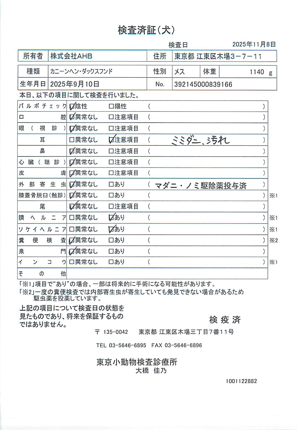 カニーンヘン・ダックスフンド