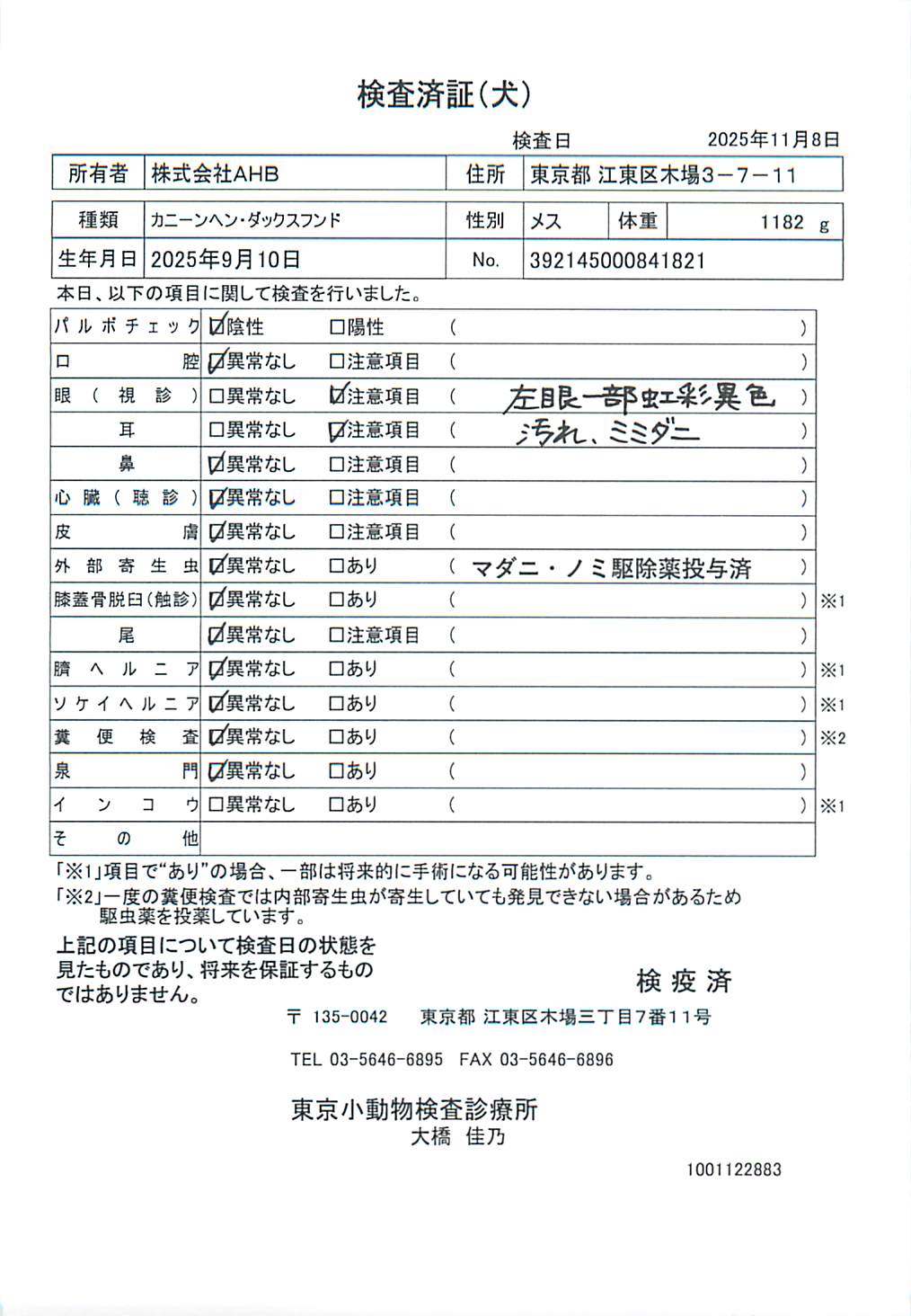 カニーンヘン・ダックスフンド