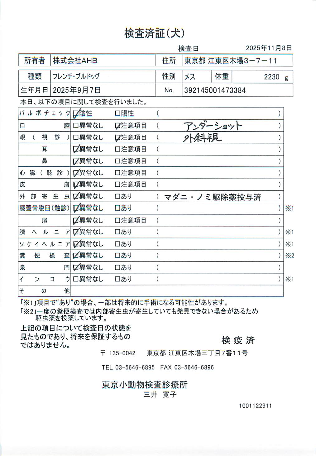 フレンチ・ブルドッグ