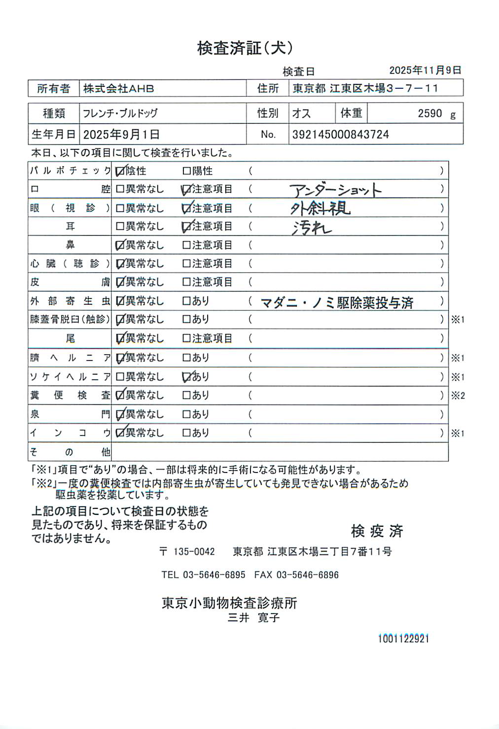 フレンチ・ブルドッグ