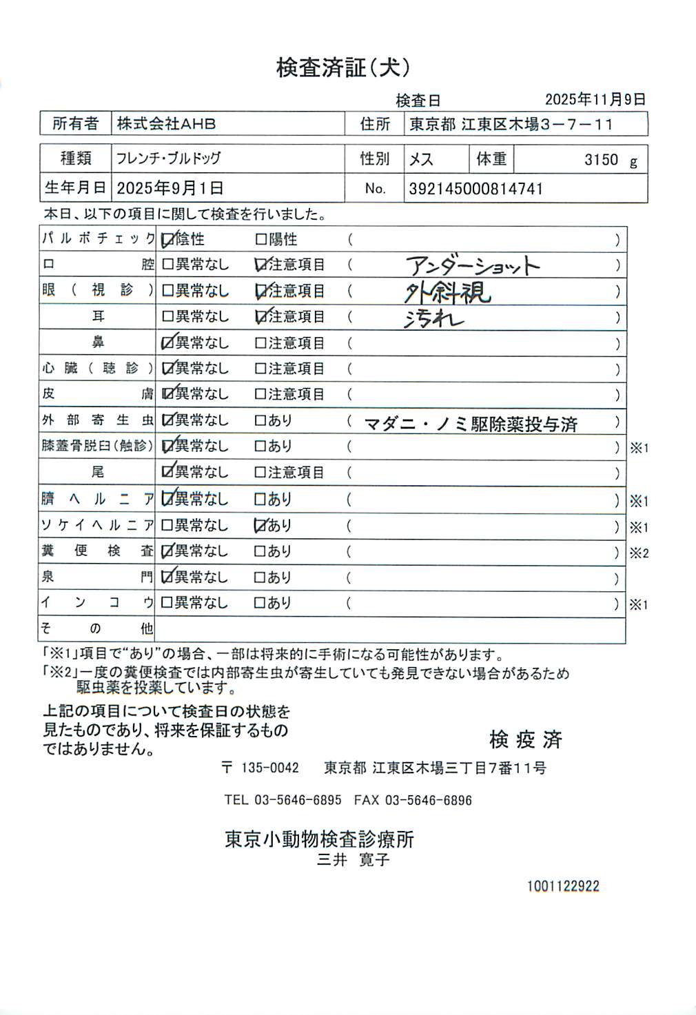 フレンチ・ブルドッグ