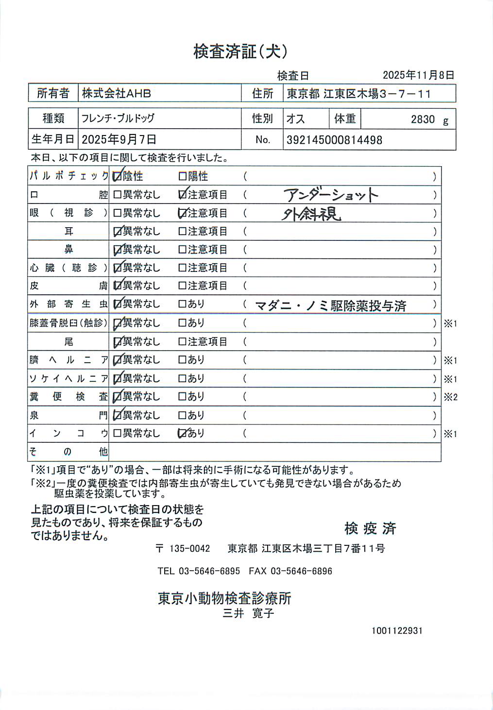 フレンチ・ブルドッグ