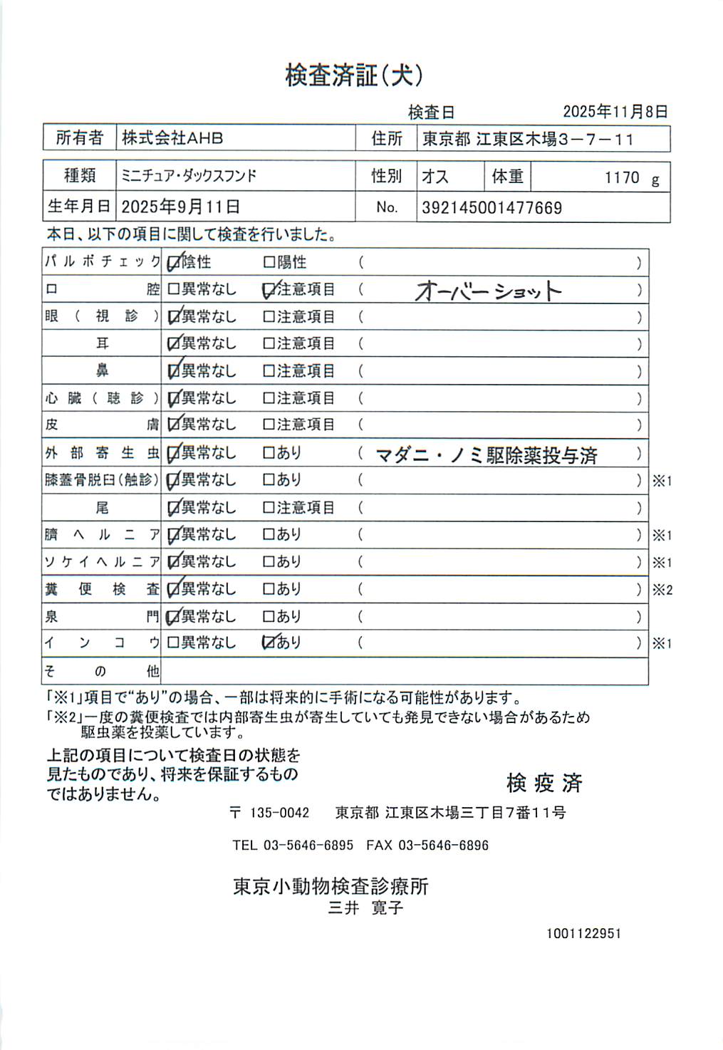 ミニチュア・ダックスフンド