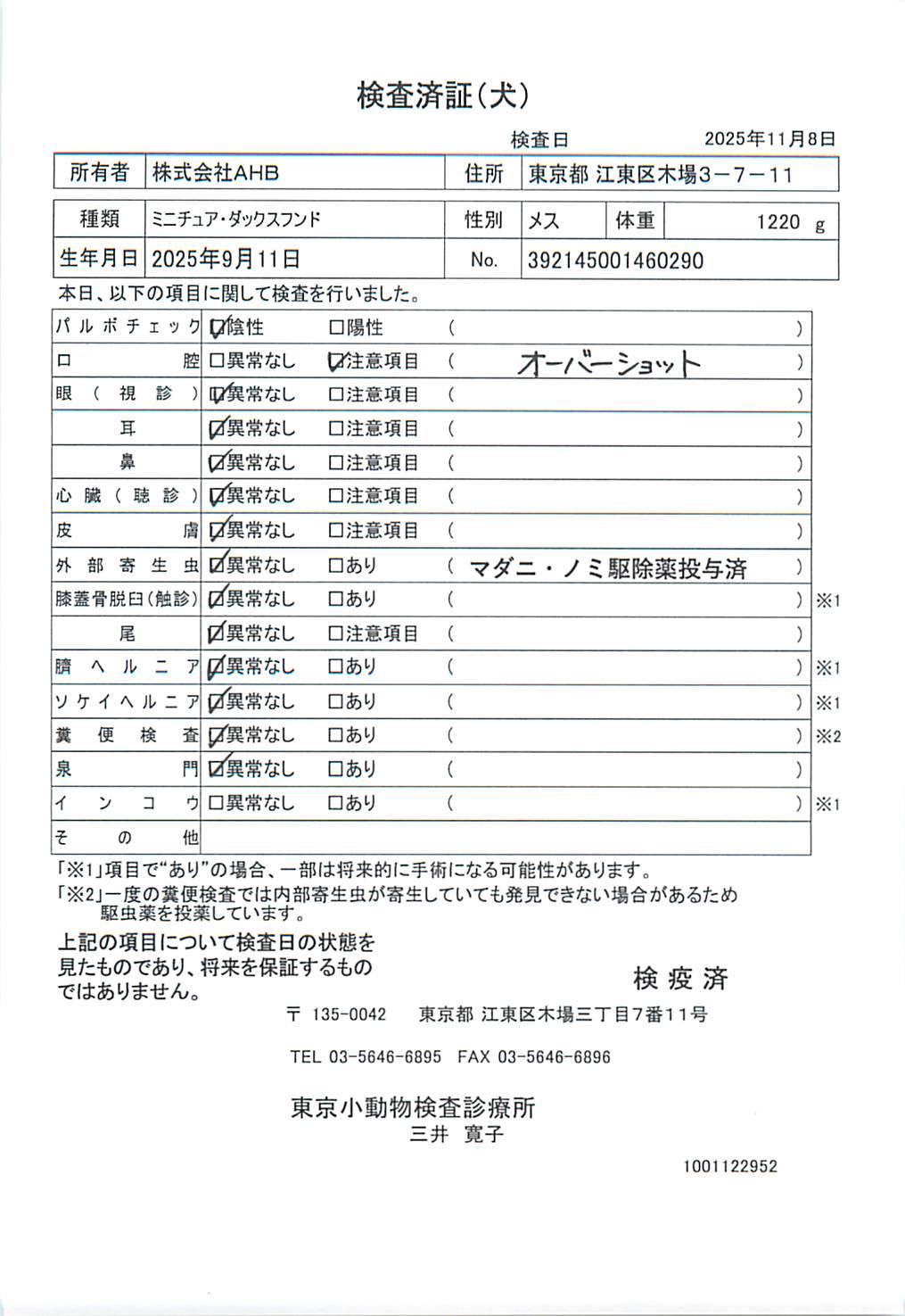 ミニチュア・ダックスフンド
