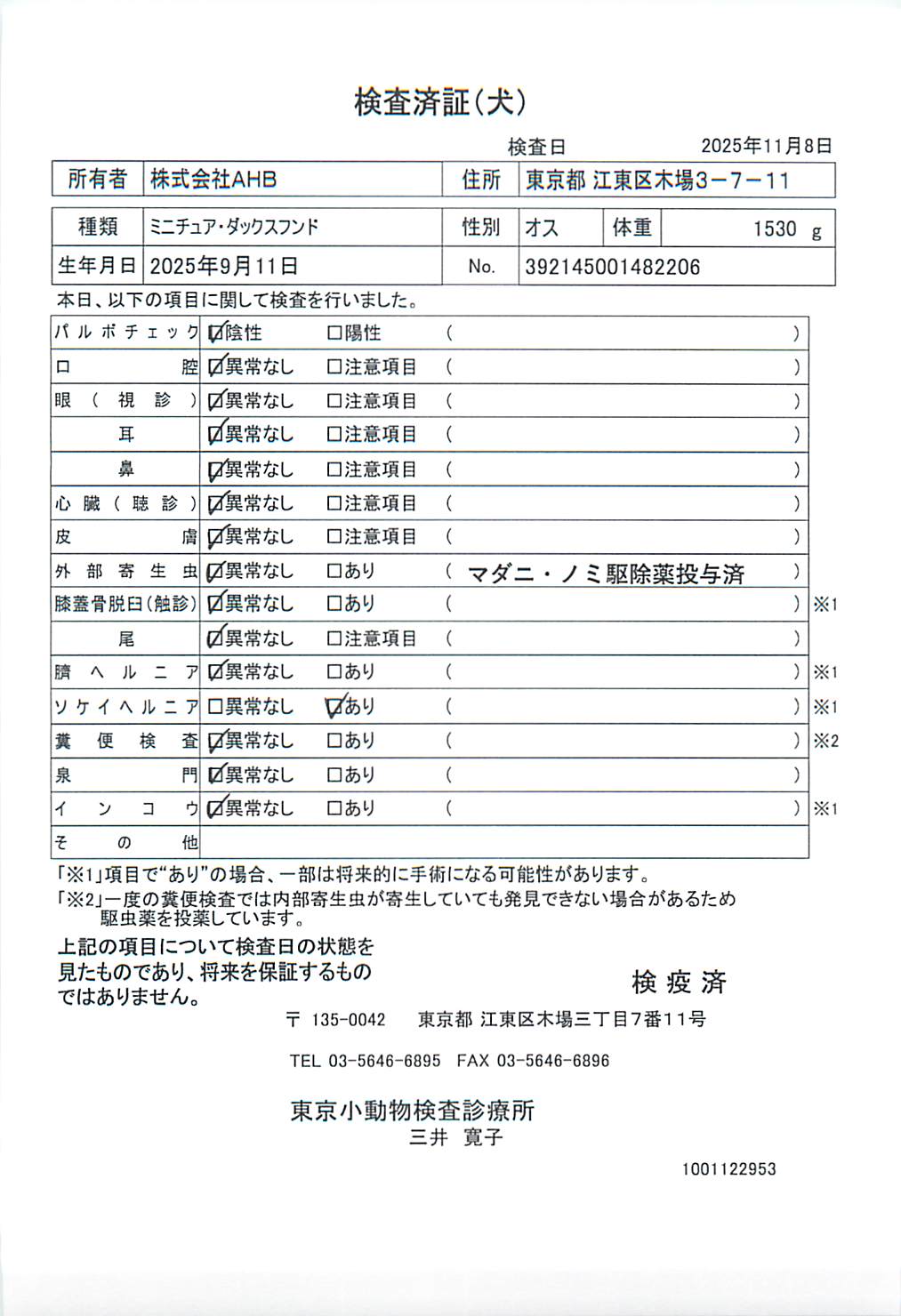 ミニチュア・ダックスフンド