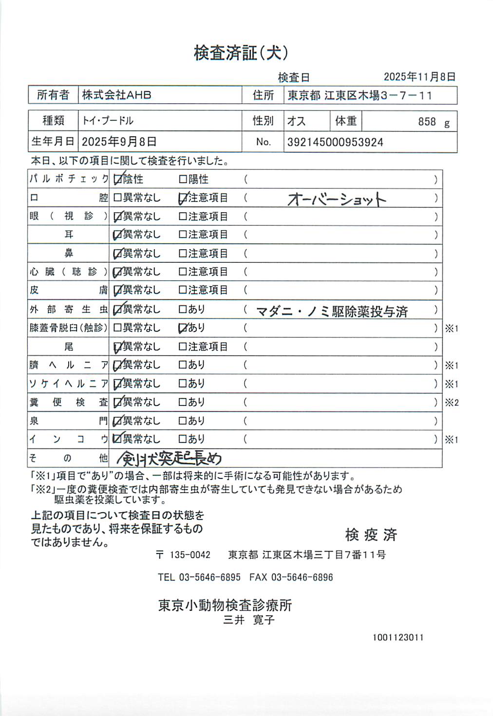 トイ・プードル