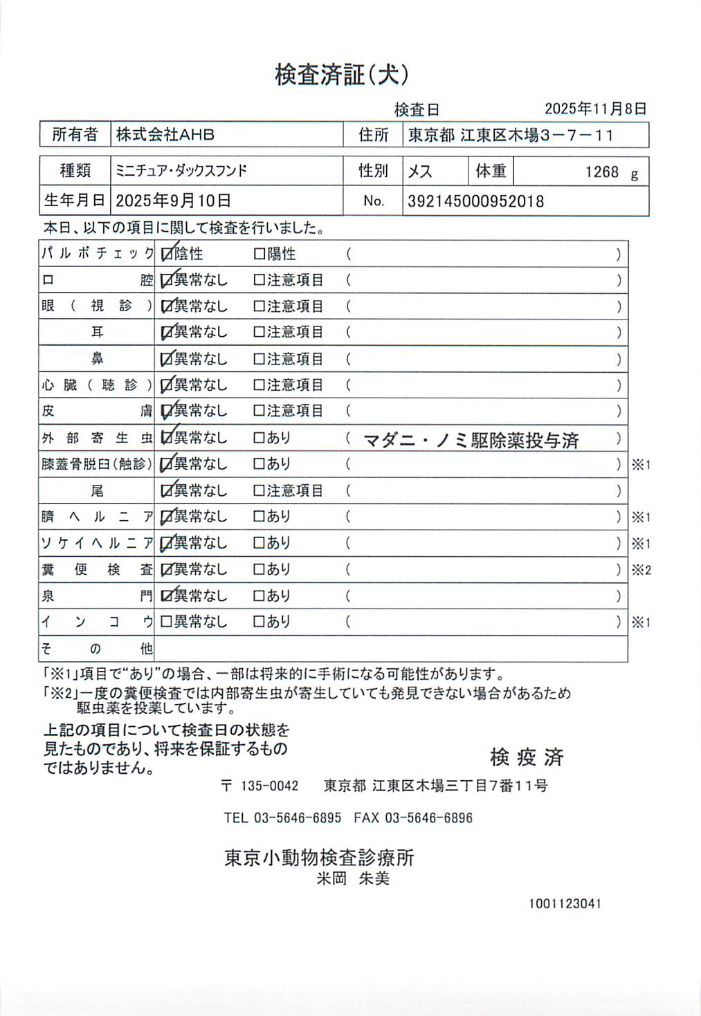 ミニチュア・ダックスフンド