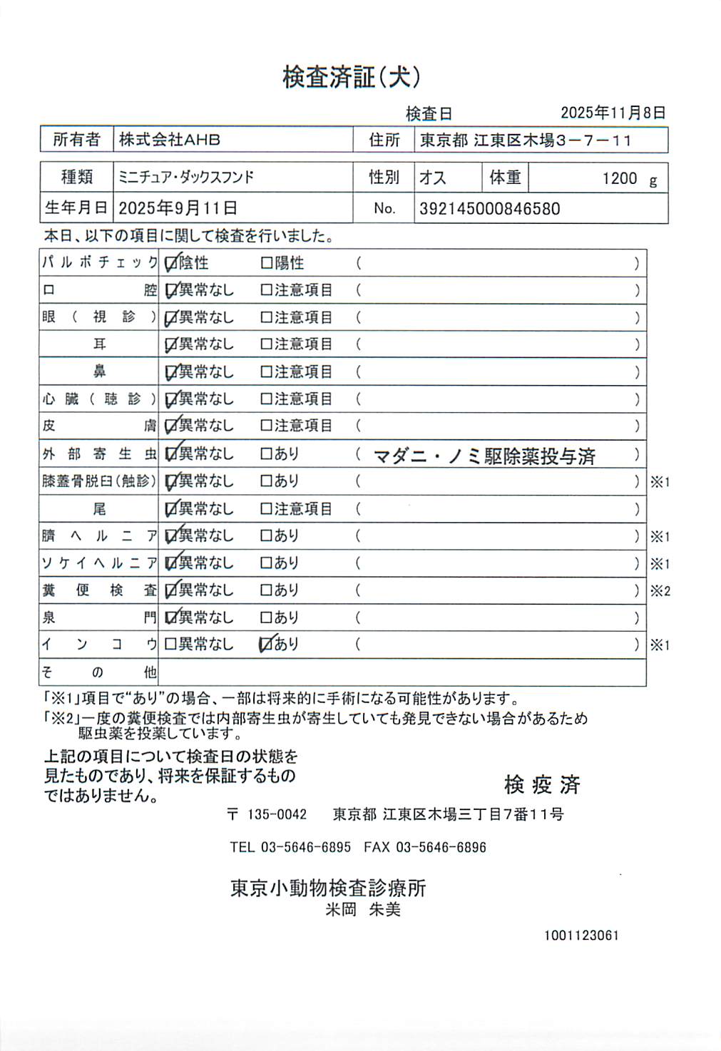 ミニチュア・ダックスフンド