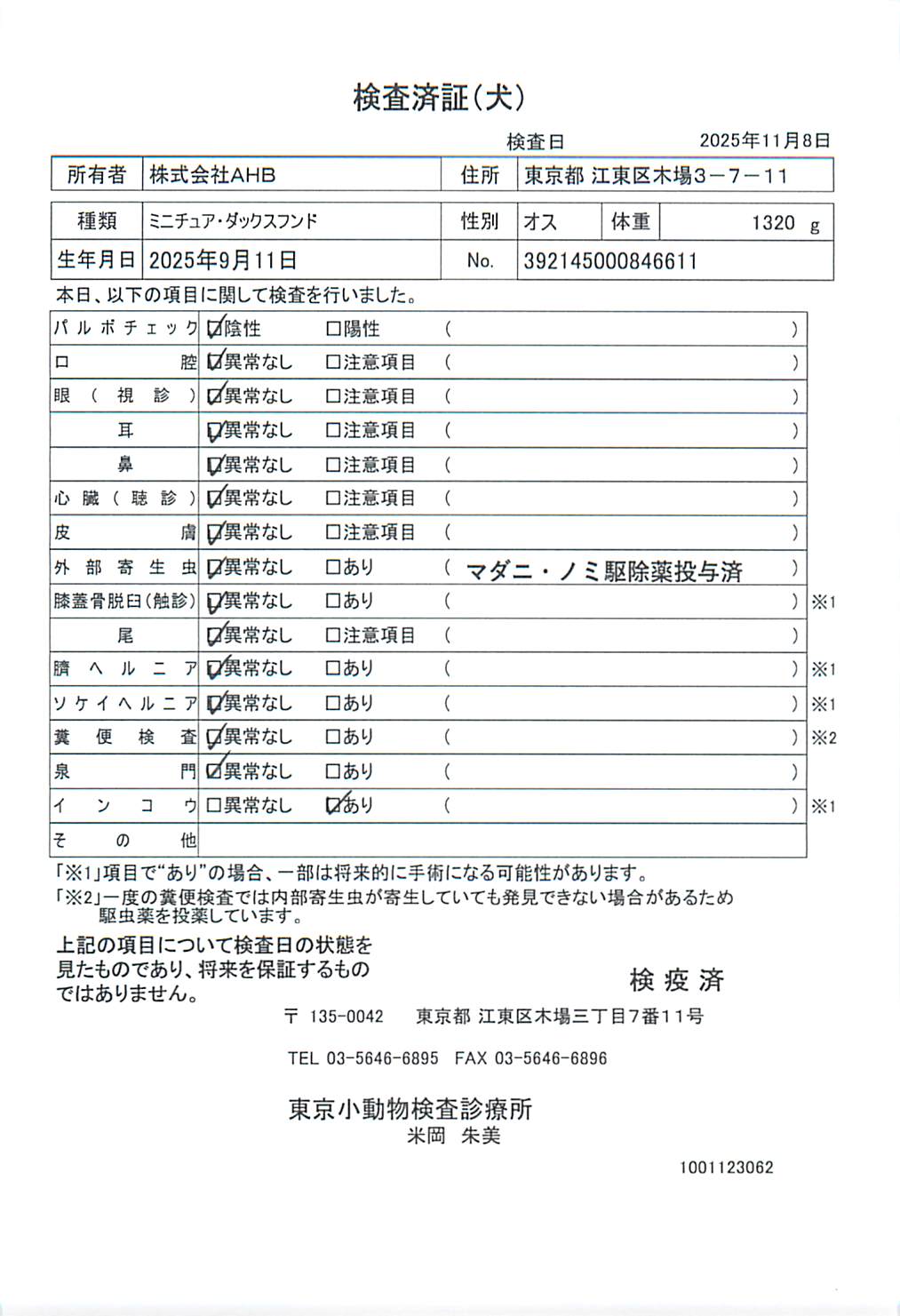 ミニチュア・ダックスフンド