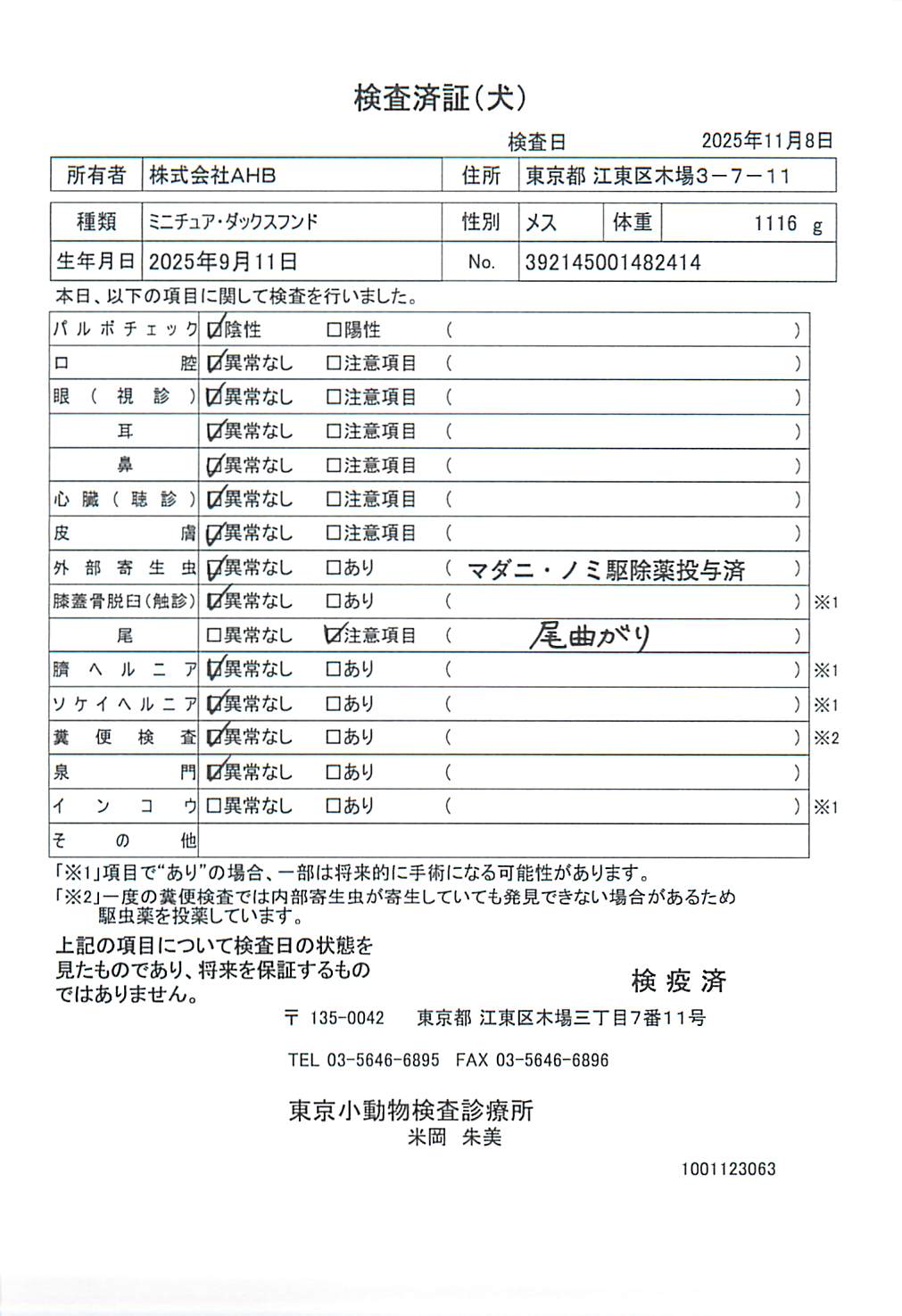 ミニチュア・ダックスフンド