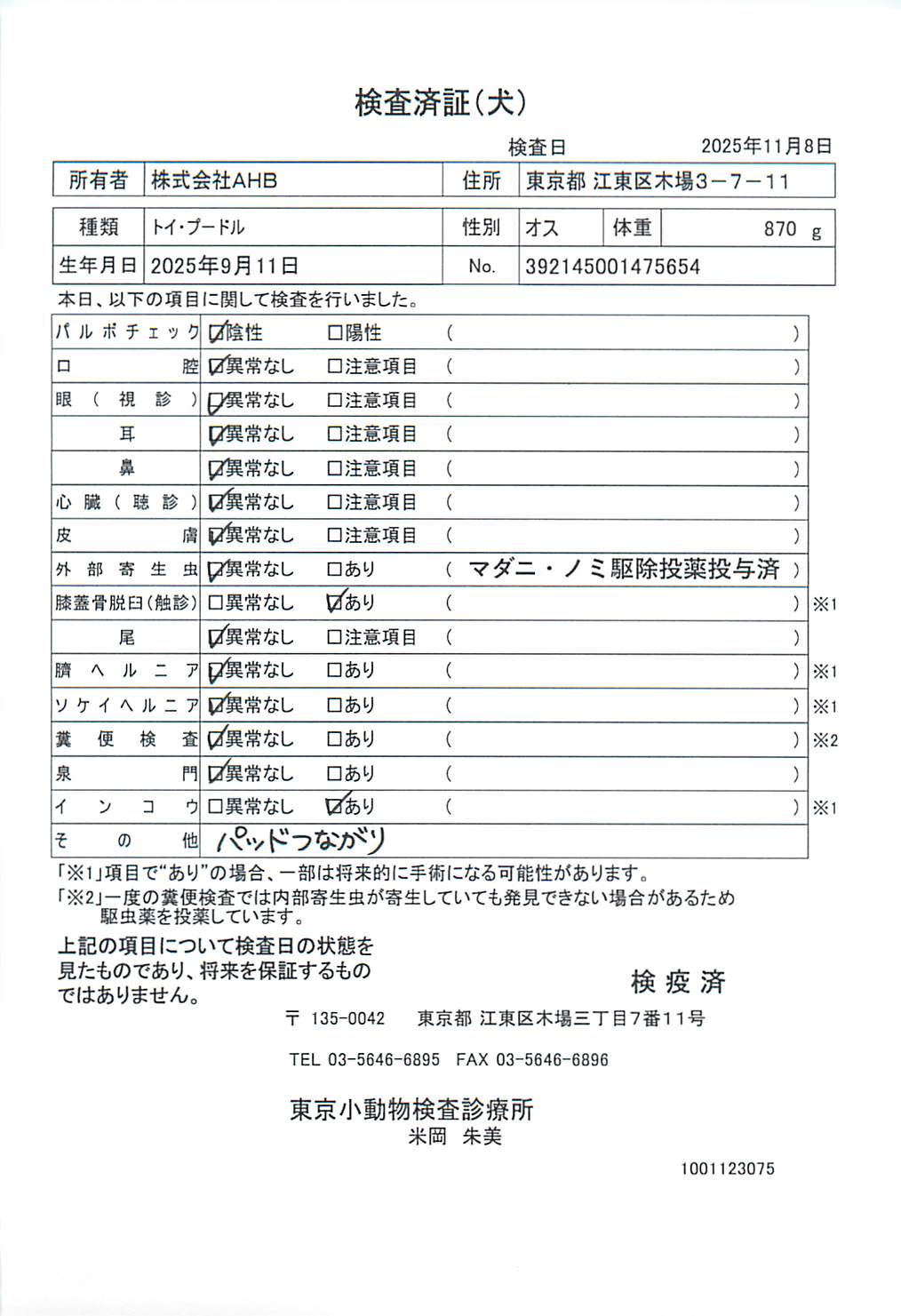 トイ・プードル