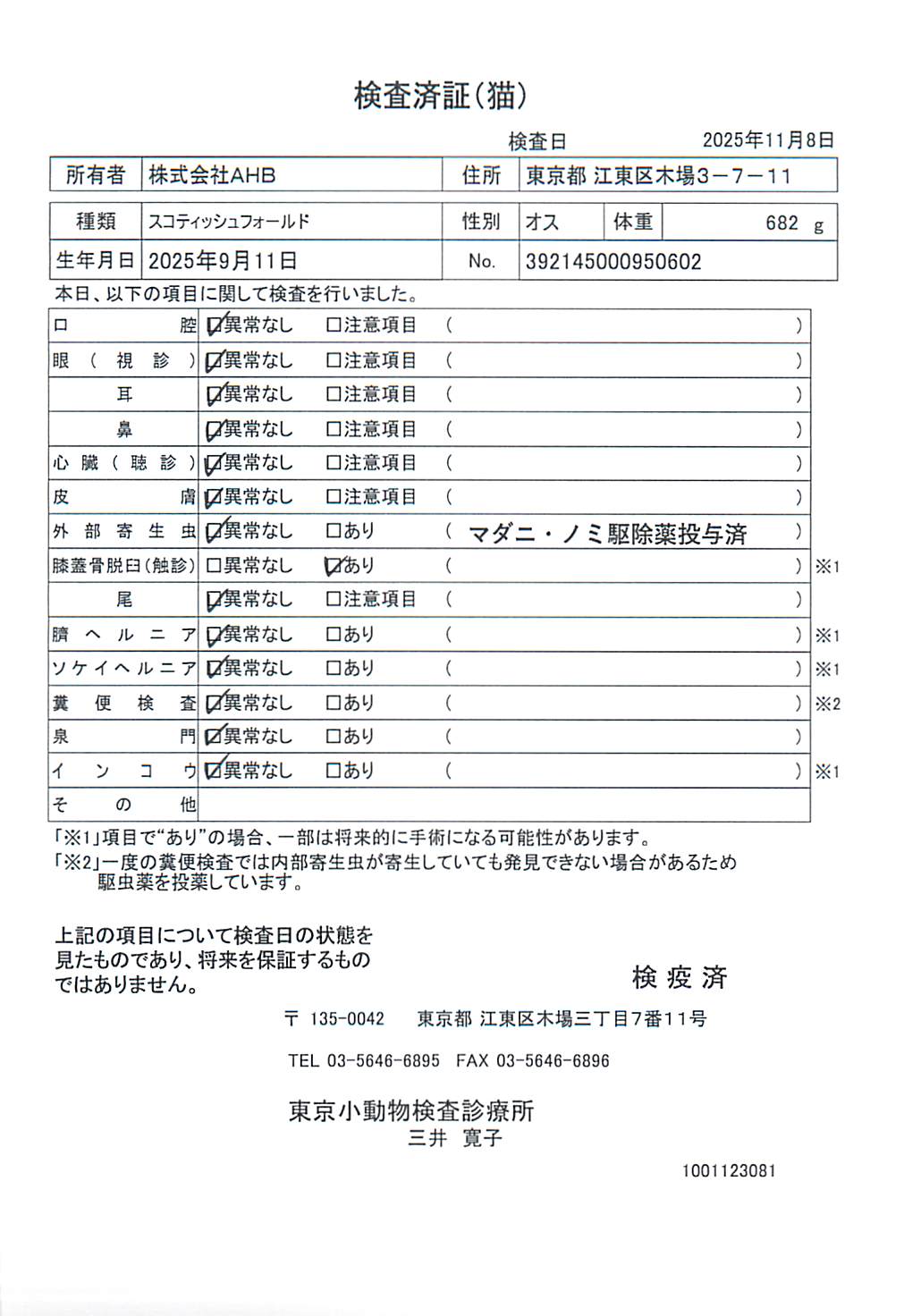 スコティッシュフォールド