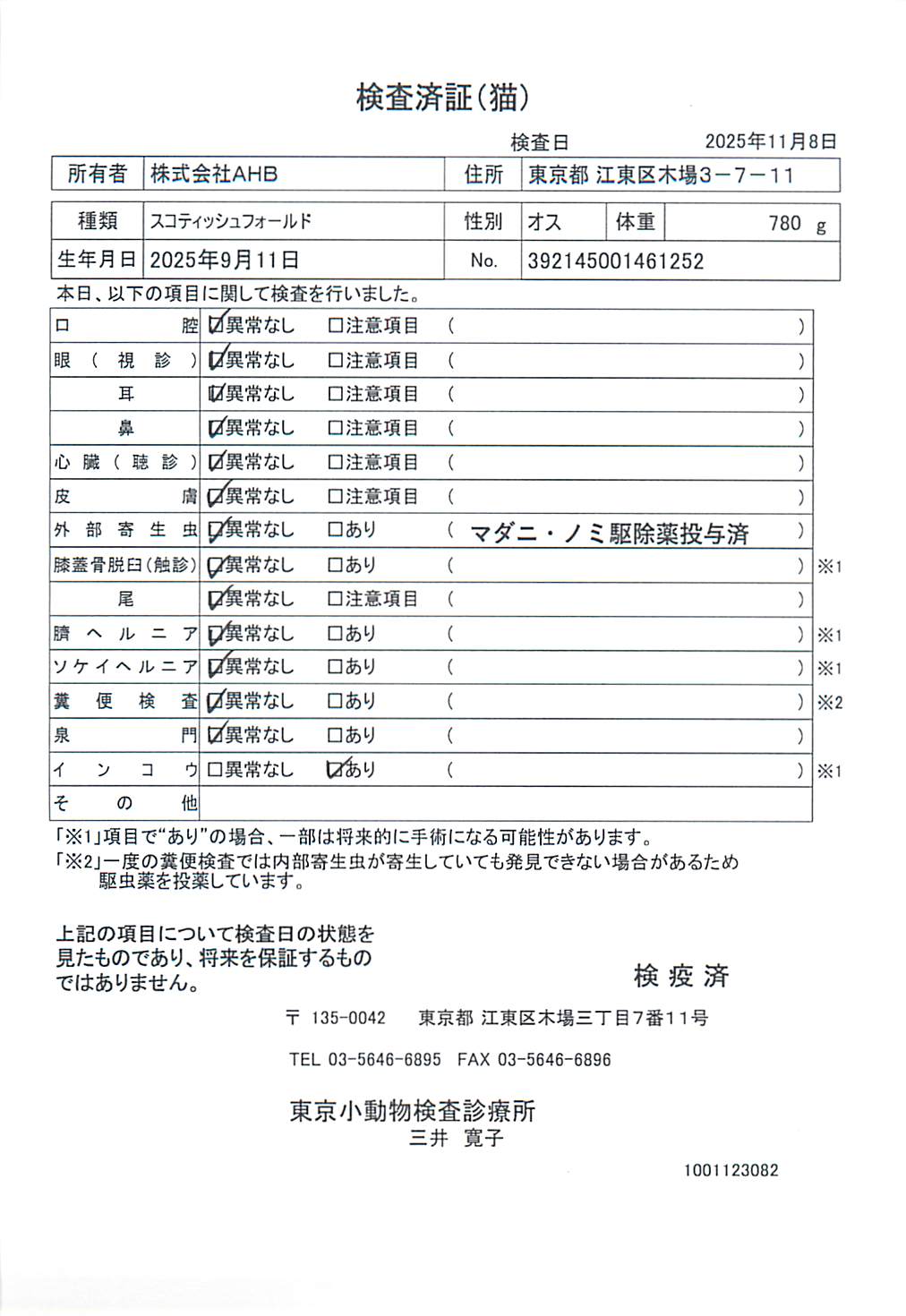 スコティッシュフォールド