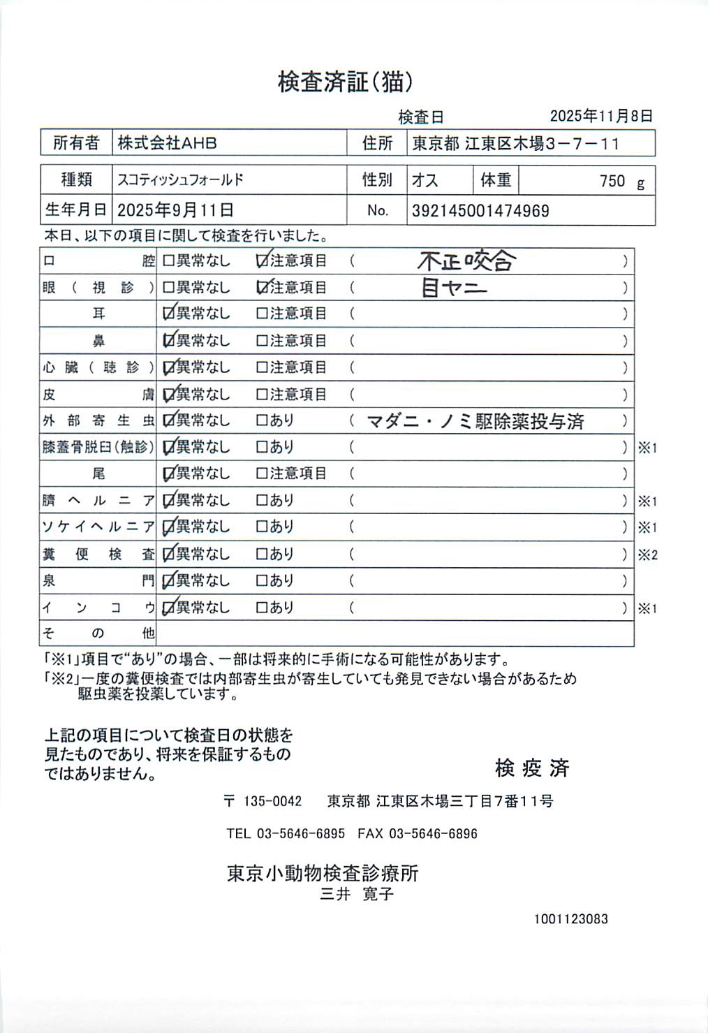 スコティッシュフォールド