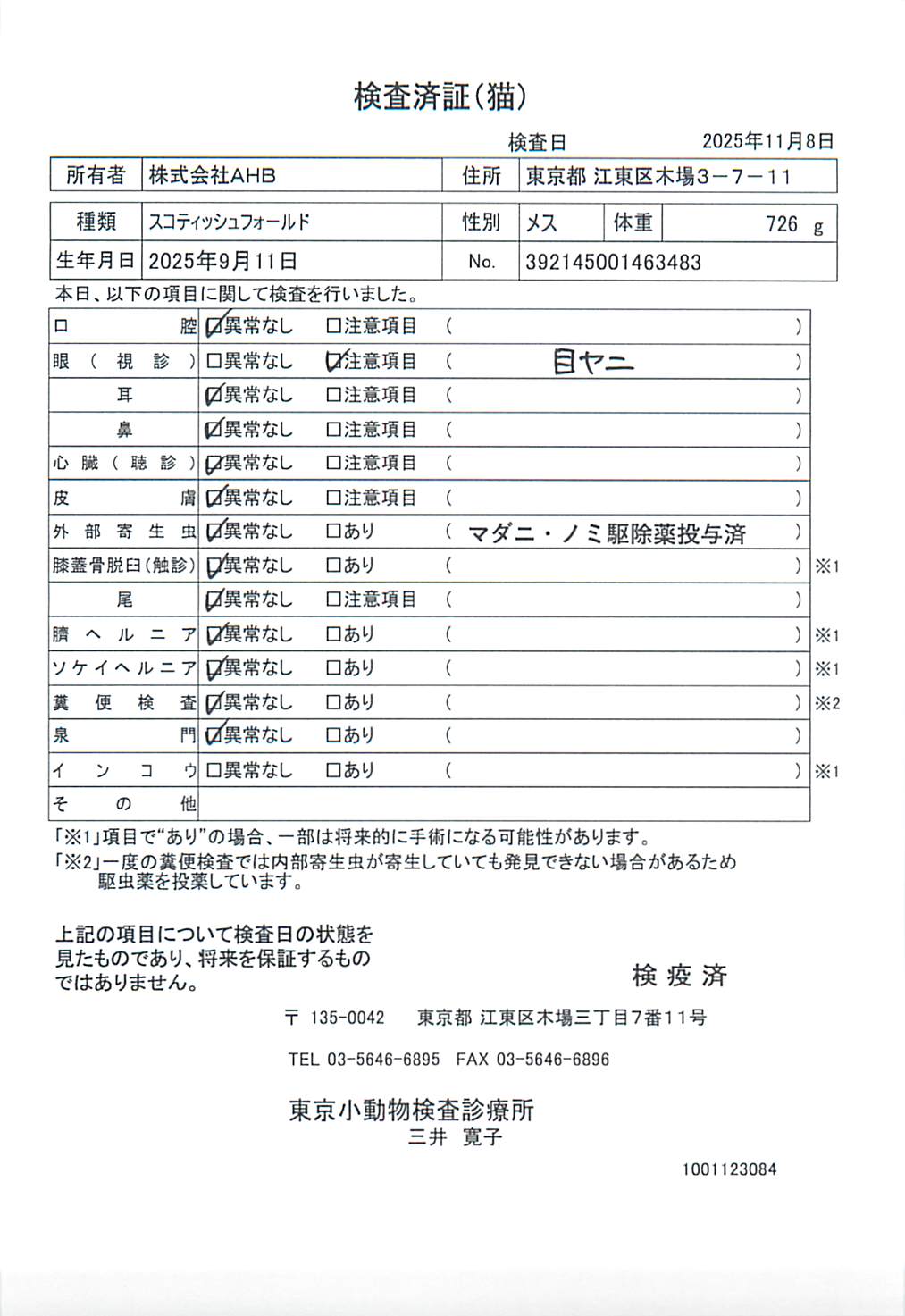 スコティッシュフォールド