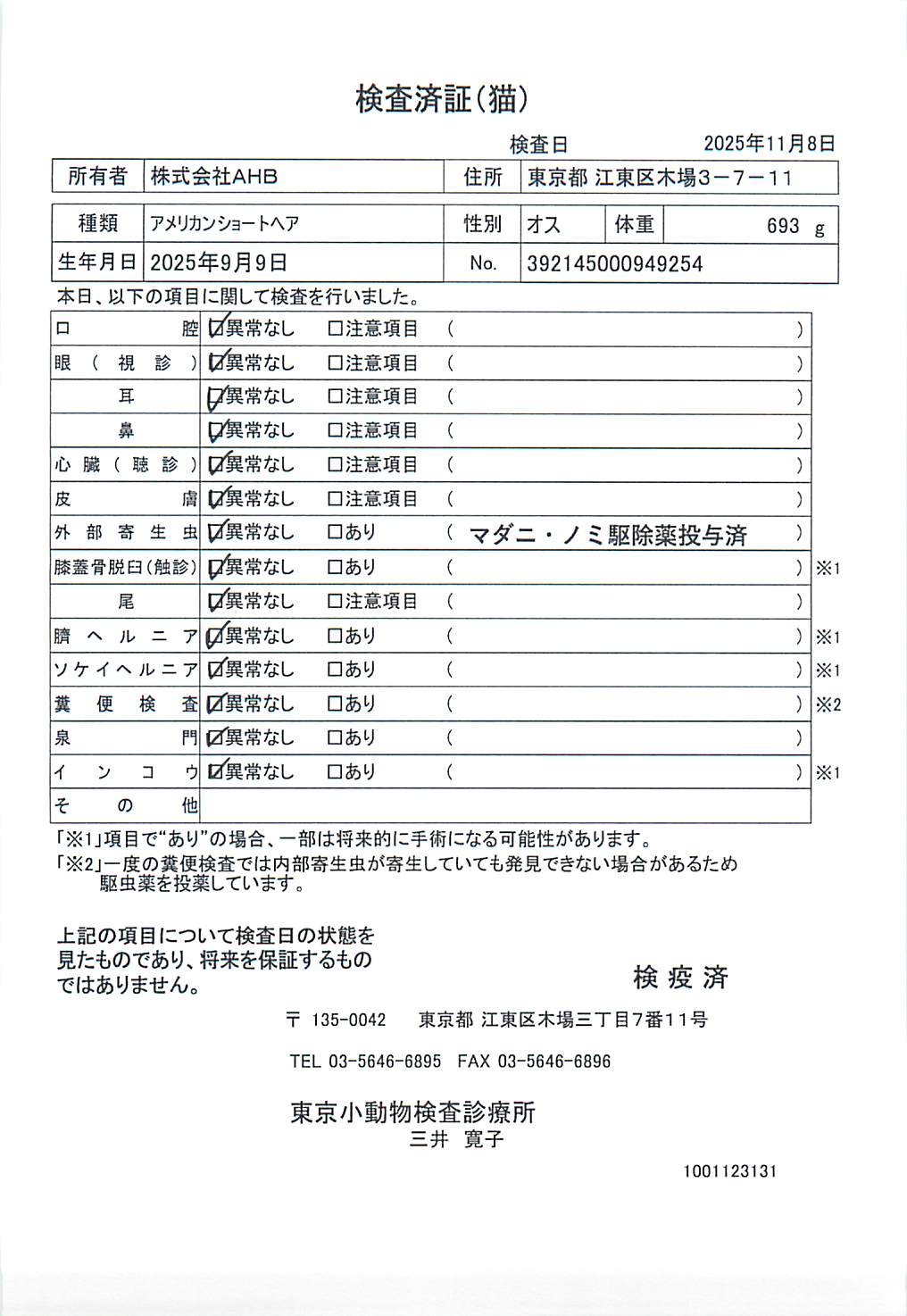 アメリカンショートヘア
