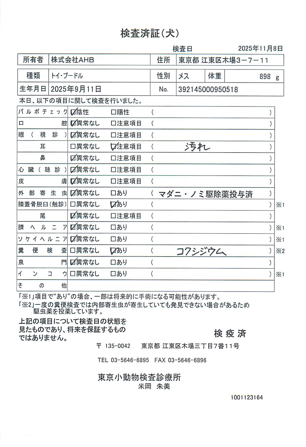 トイ・プードル