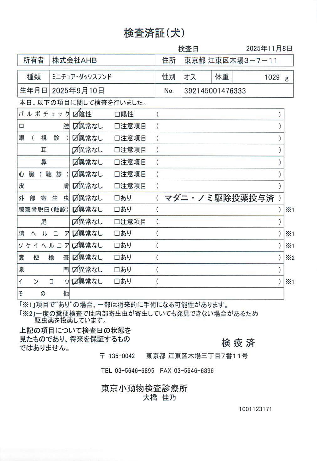 ミニチュア・ダックスフンド