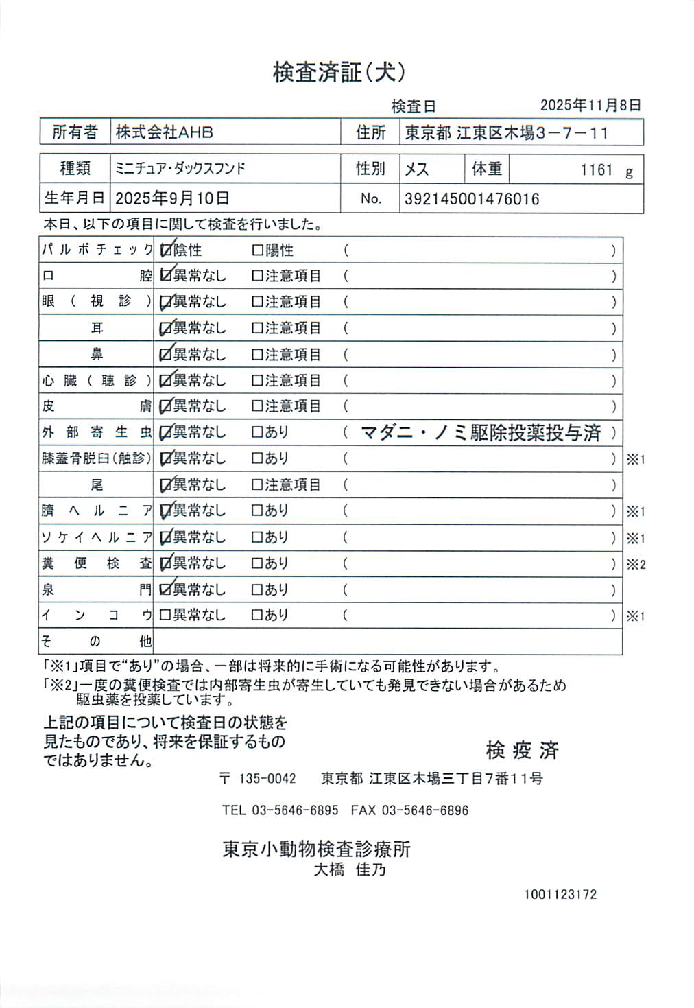 ミニチュア・ダックスフンド