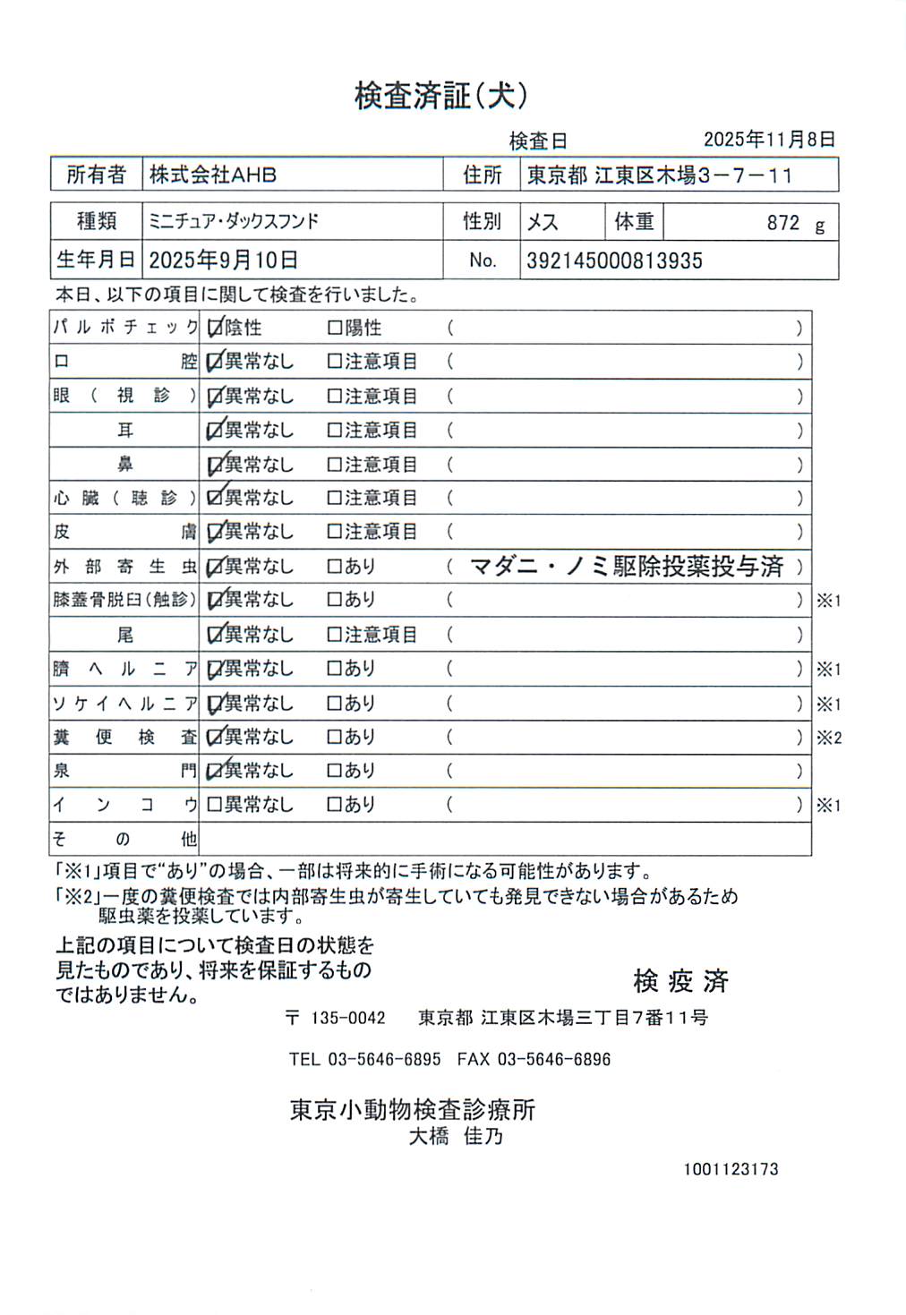ミニチュア・ダックスフンド