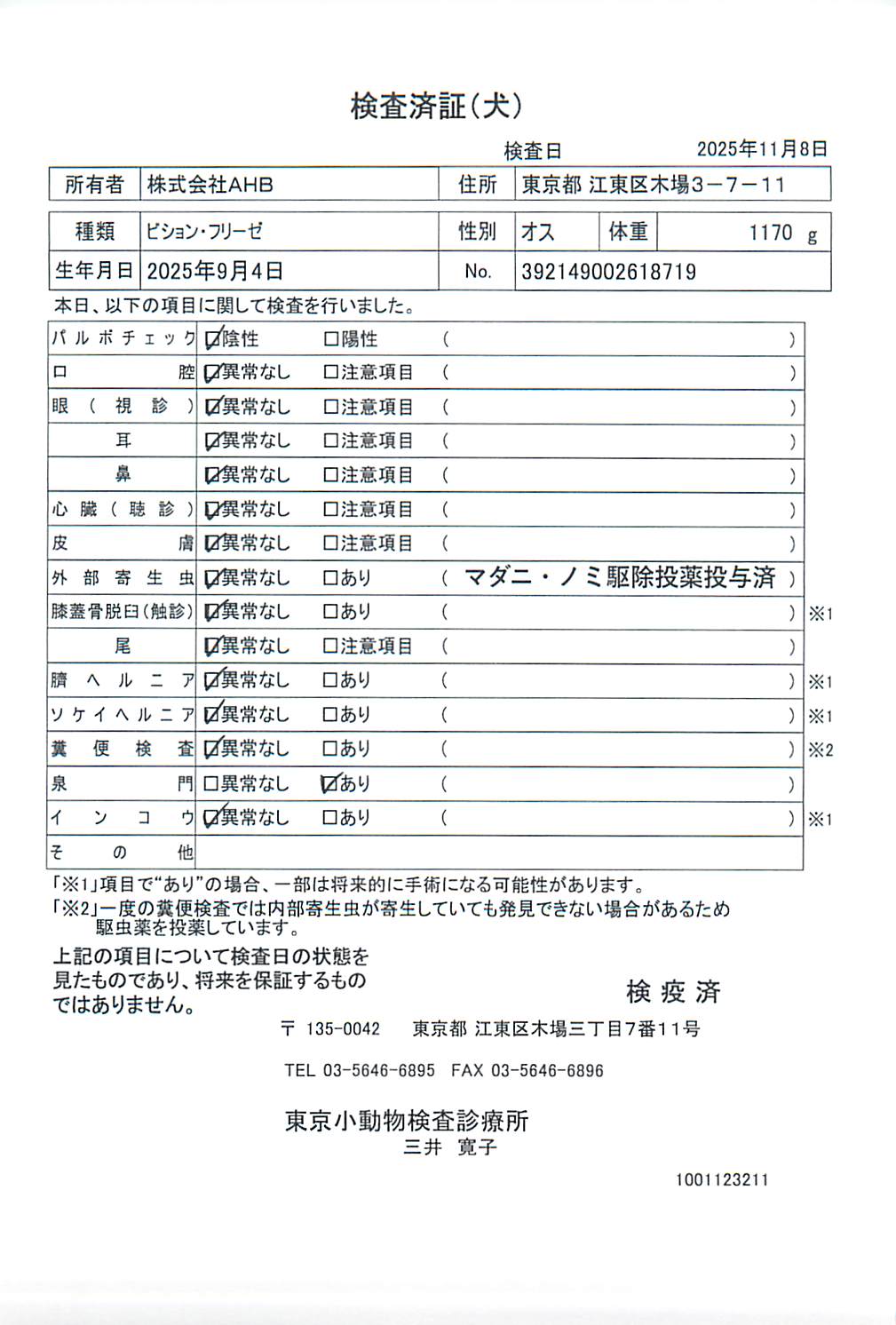 ビション・フリーゼ