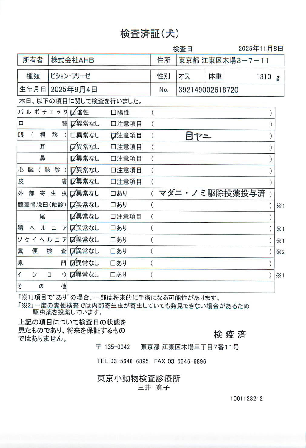 ビション・フリーゼ