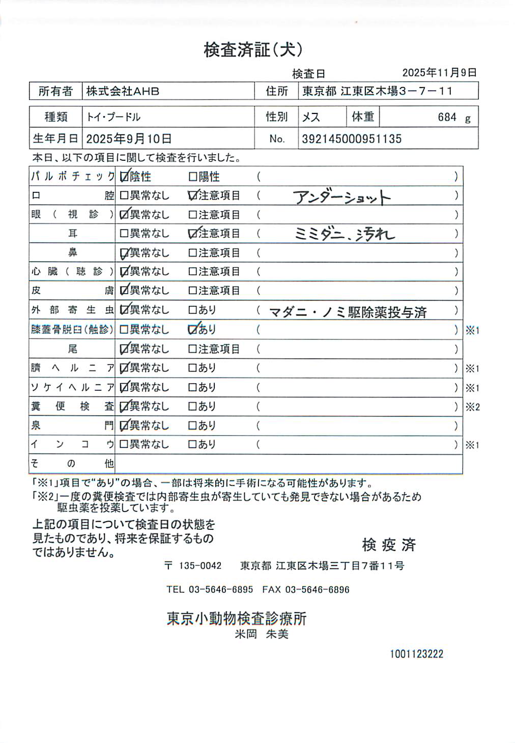 トイ・プードル