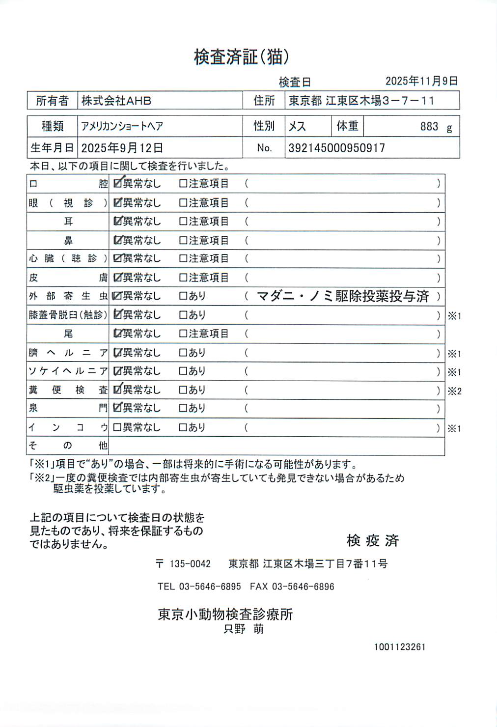 アメリカンショートヘア