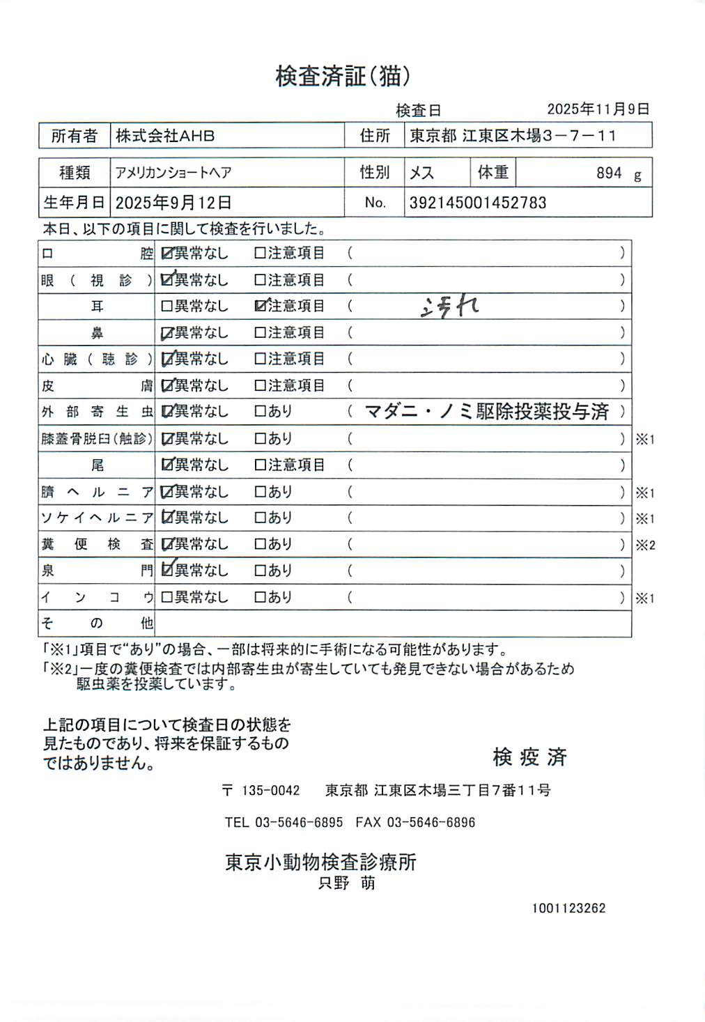 アメリカンショートヘア