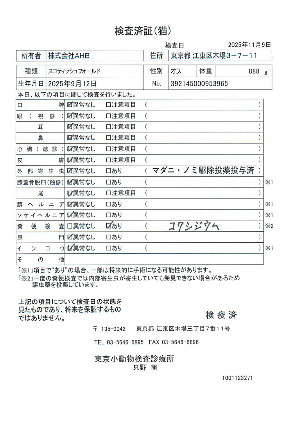 スコティッシュフォールド