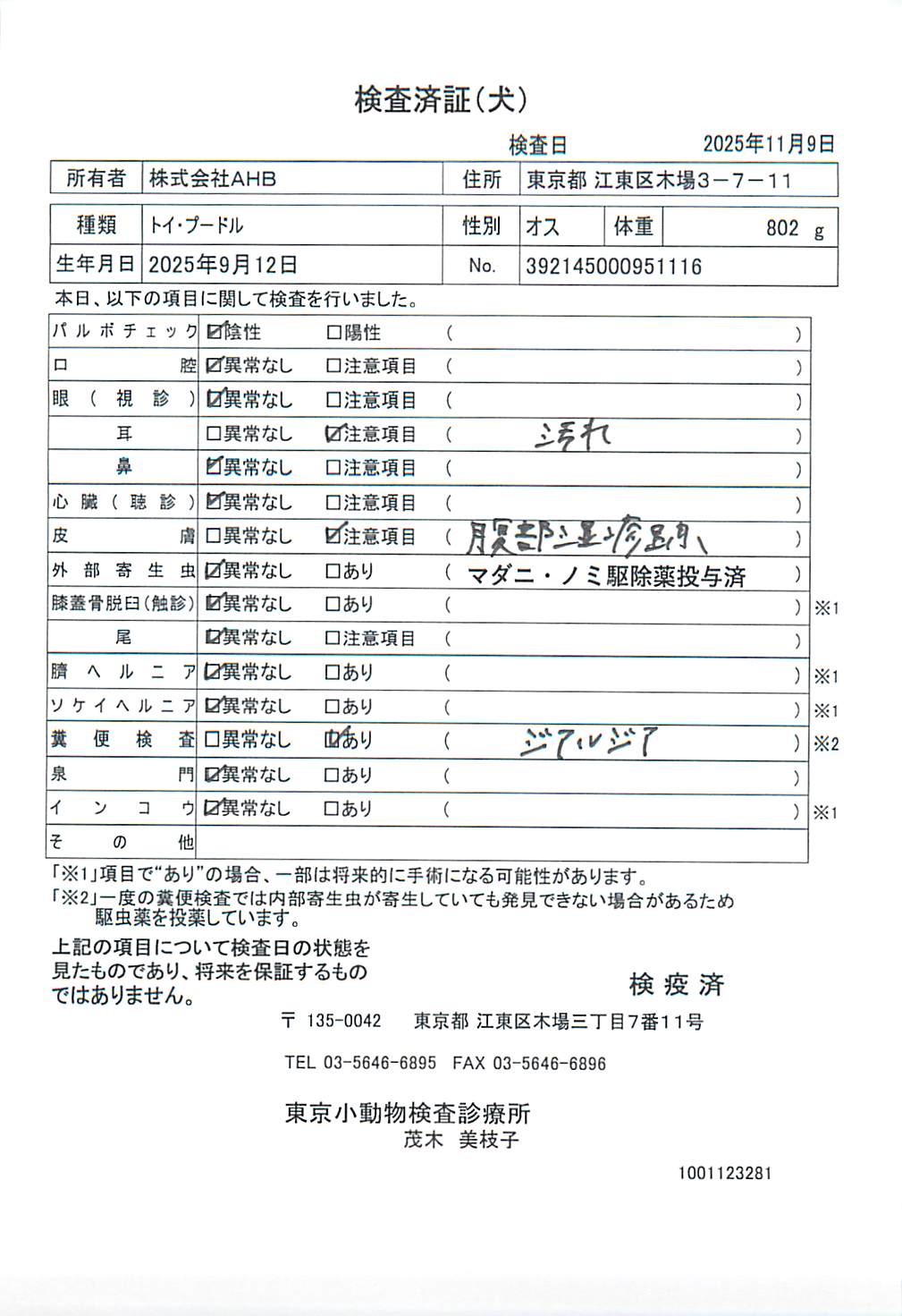 トイ・プードル