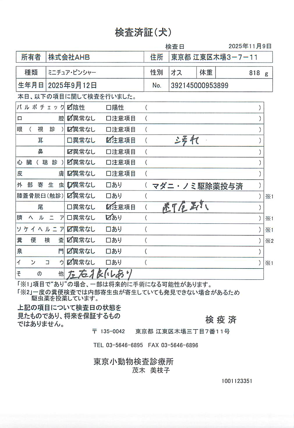 ミニチュア・ピンシャー