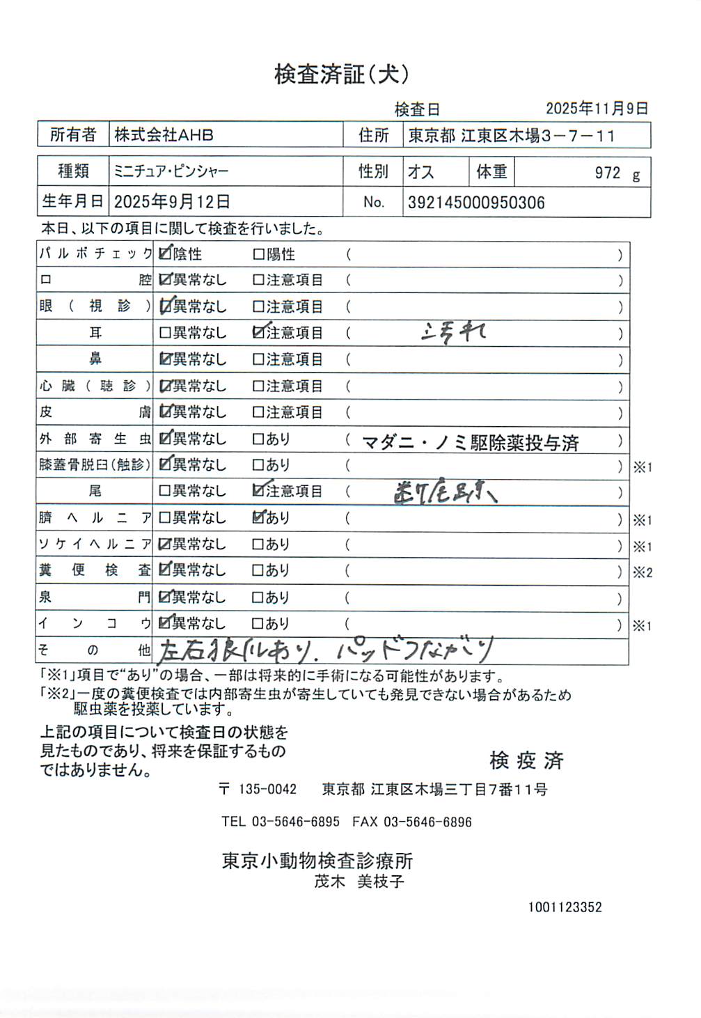 ミニチュア・ピンシャー