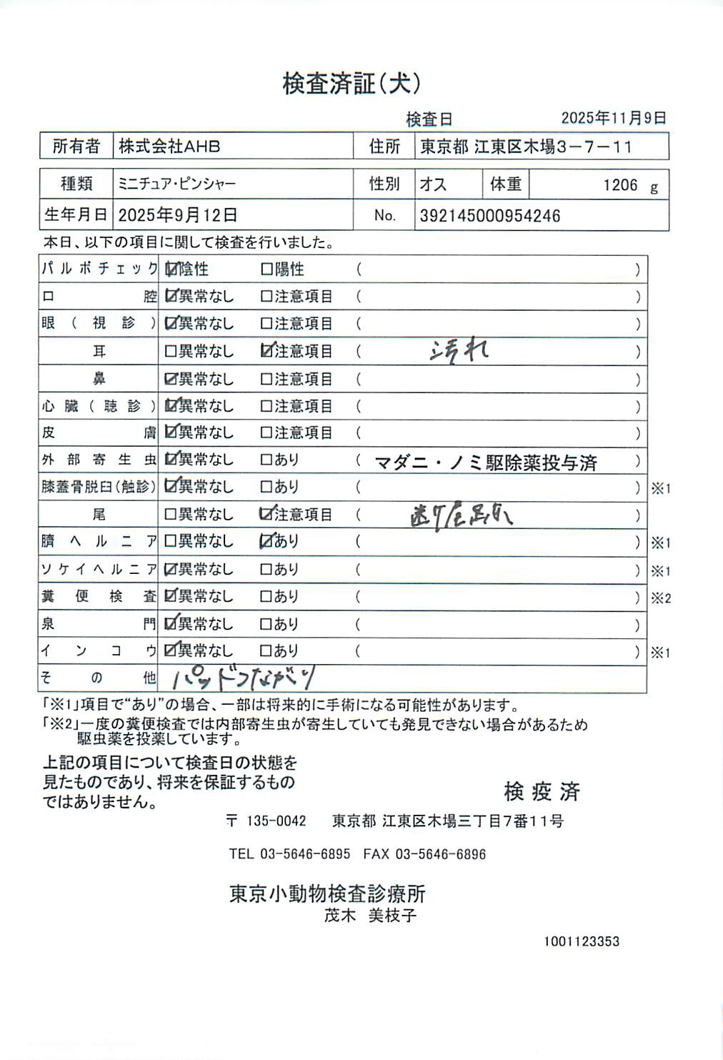 ミニチュア・ピンシャー