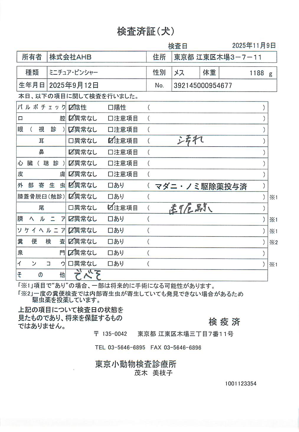 ミニチュア・ピンシャー