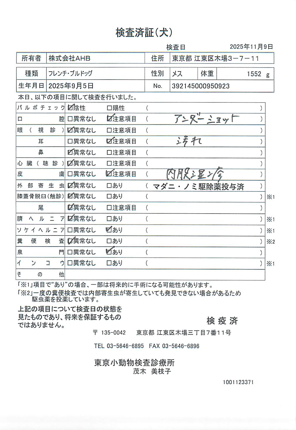 フレンチ・ブルドッグ