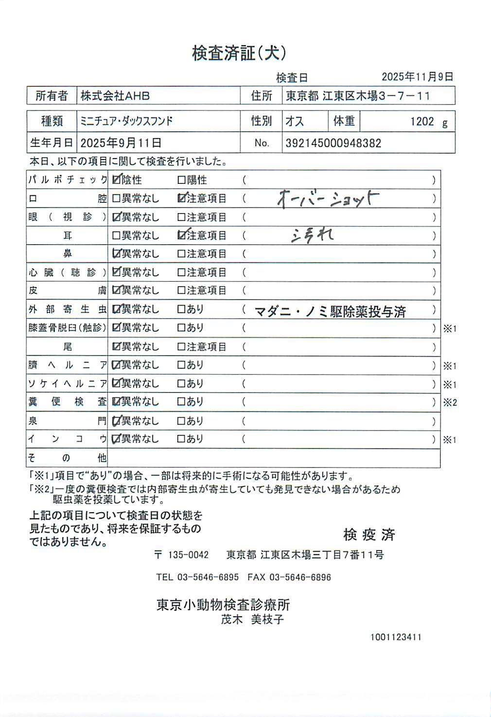 ミニチュア・ダックスフンド