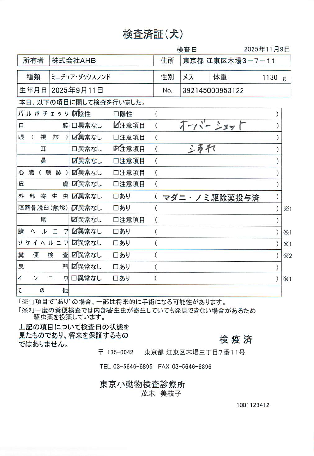 ミニチュア・ダックスフンド