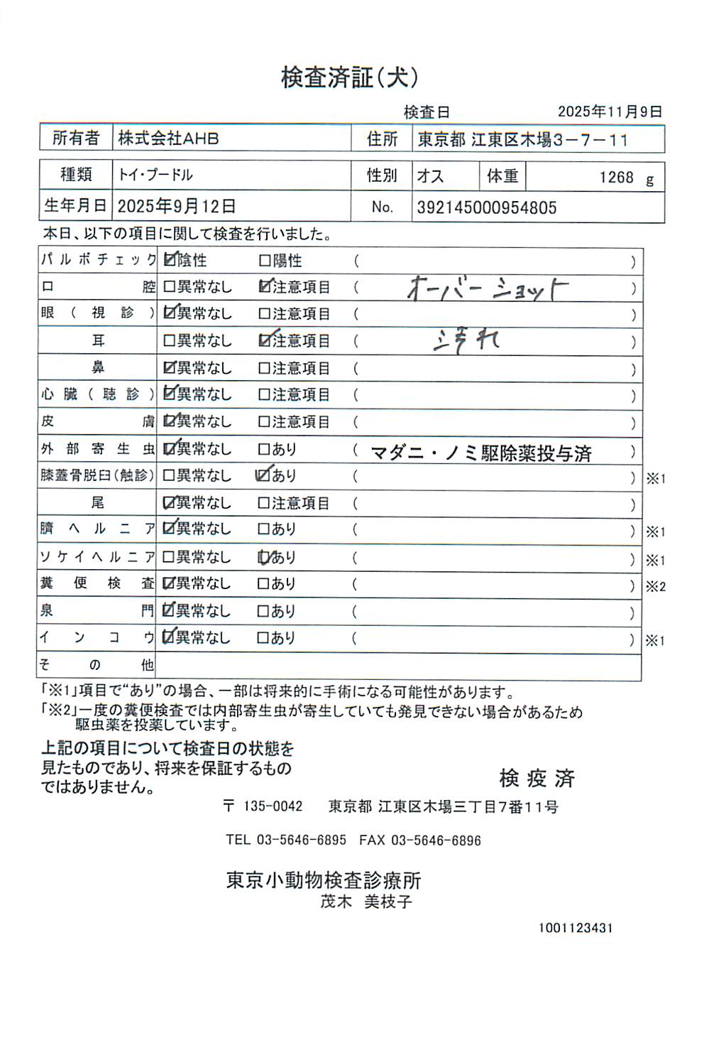 トイ・プードル