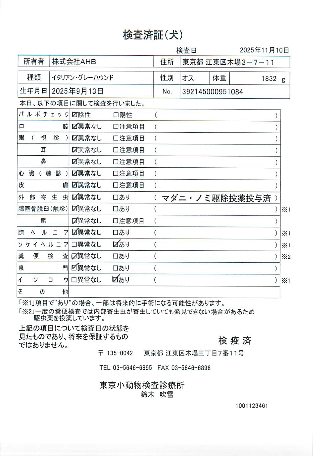 イタリアン・グレーハウンド