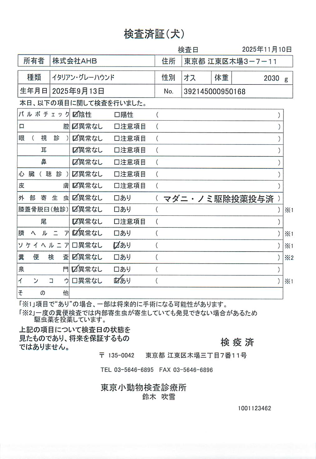 イタリアン・グレーハウンド