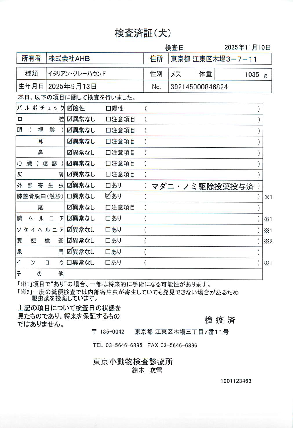 イタリアン・グレーハウンド