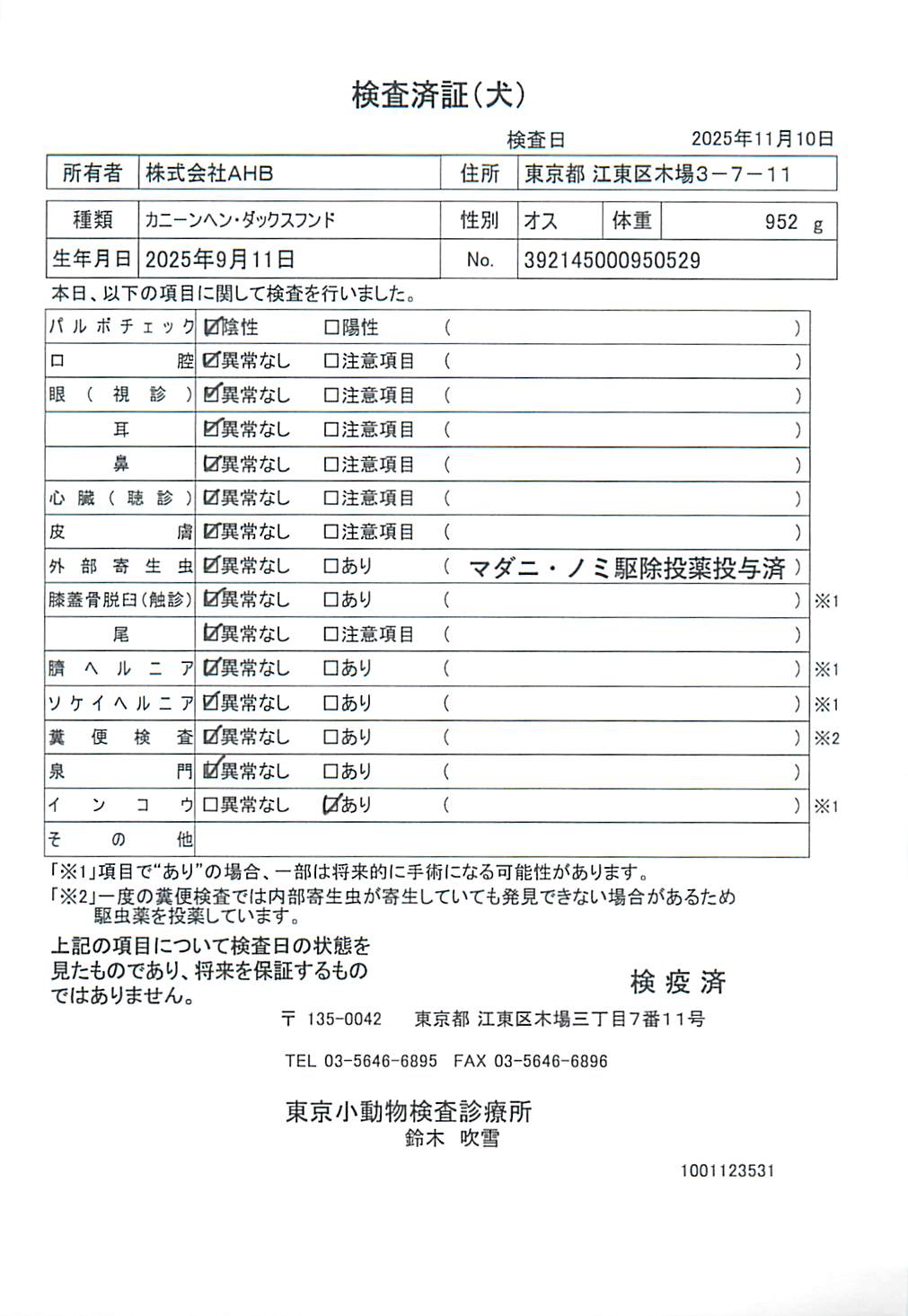 カニーンヘン・ダックスフンド