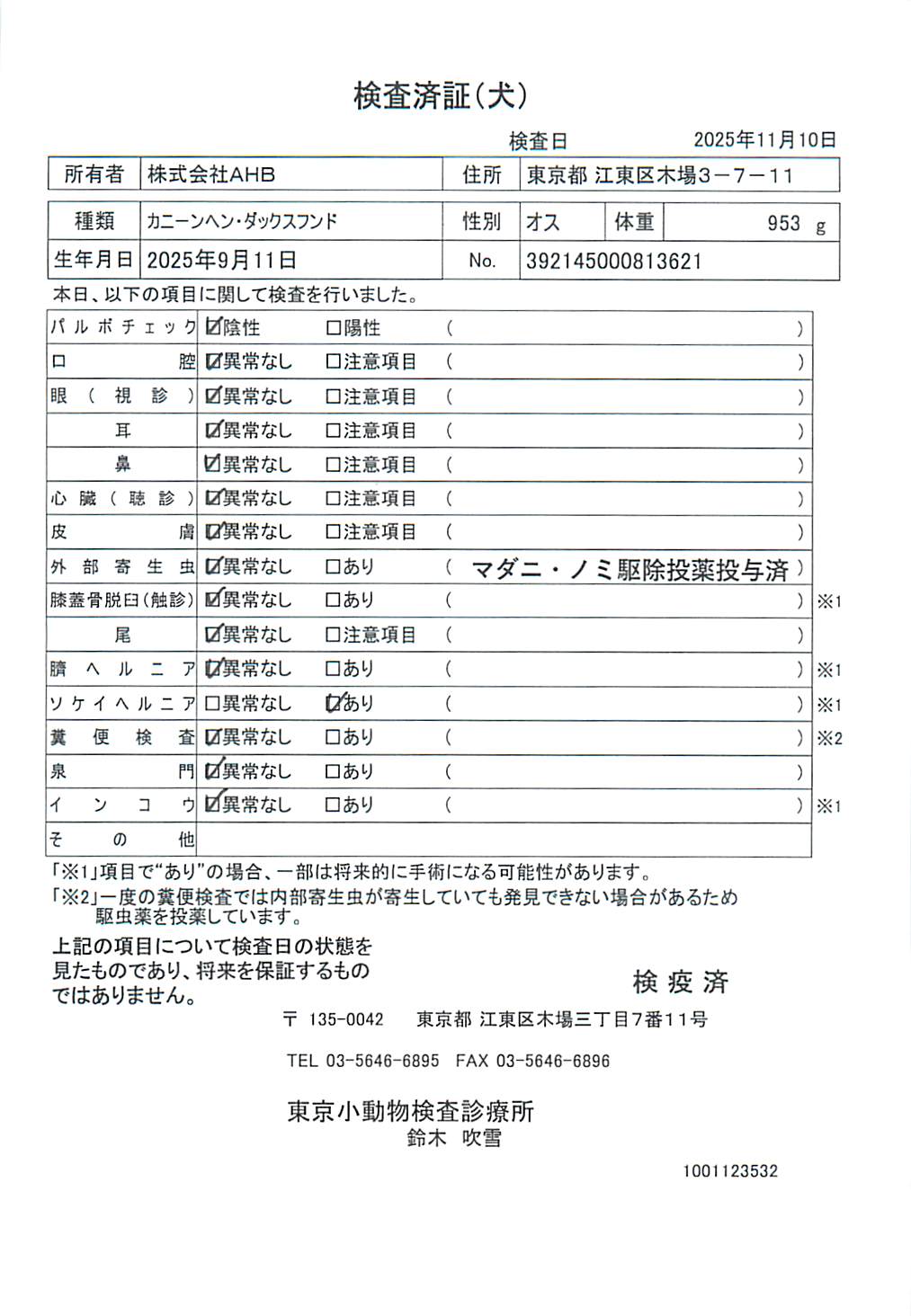 カニーンヘン・ダックスフンド