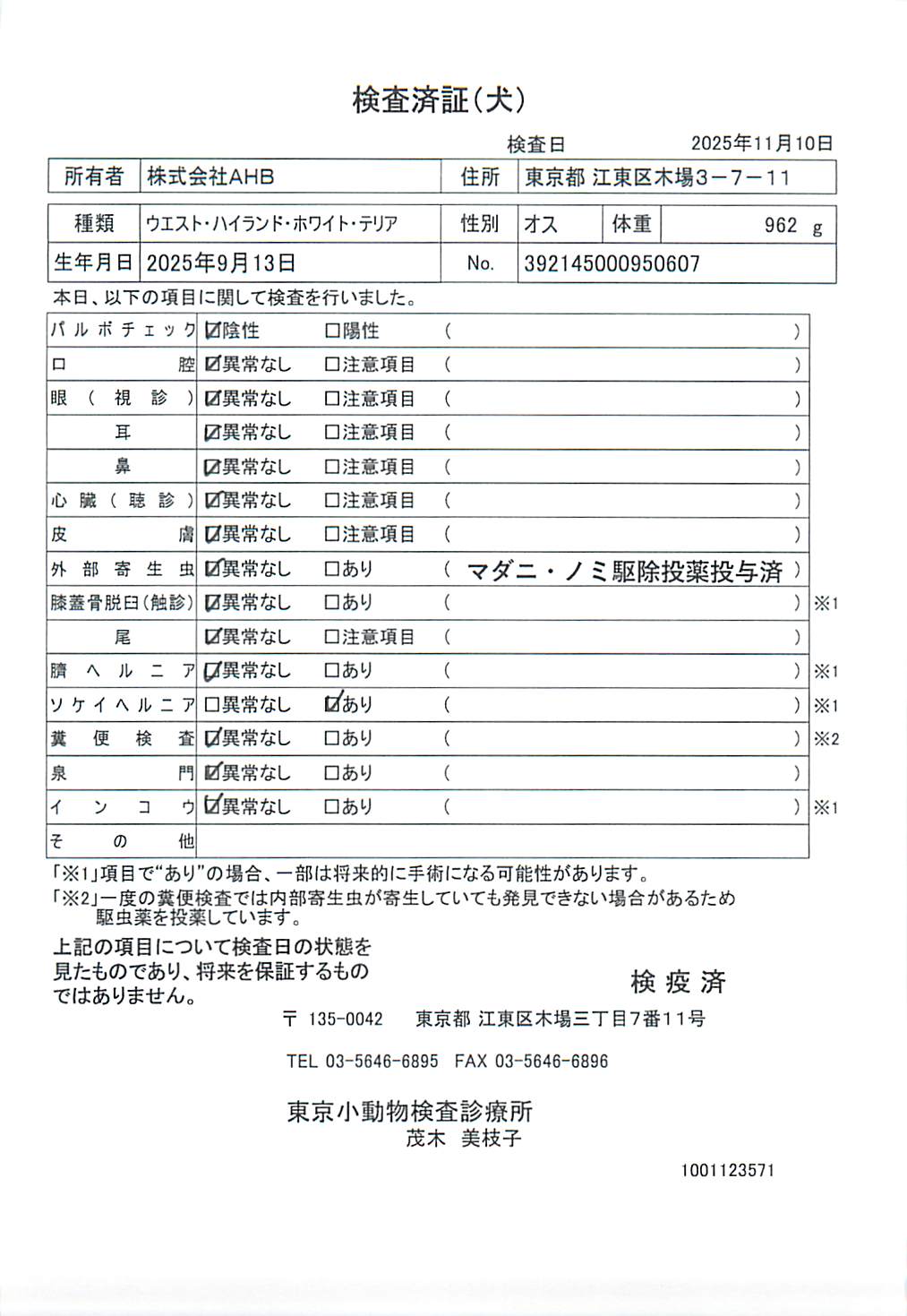 ウエスト・ハイランド・ホワイト・テリア