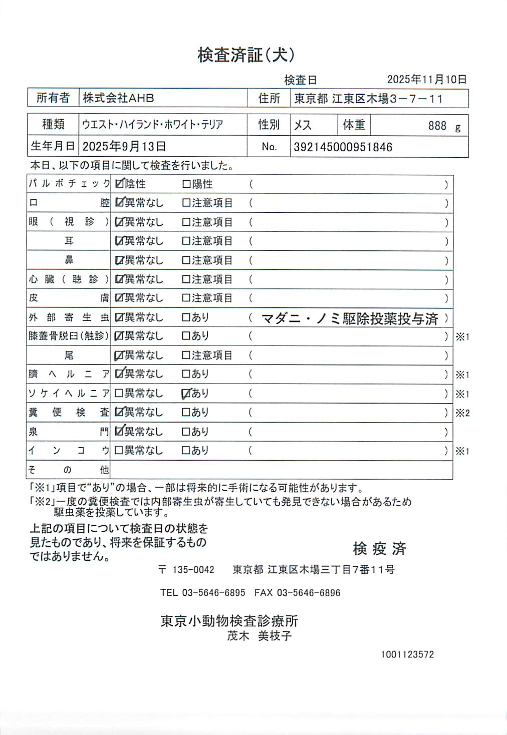 ウエスト・ハイランド・ホワイト・テリア