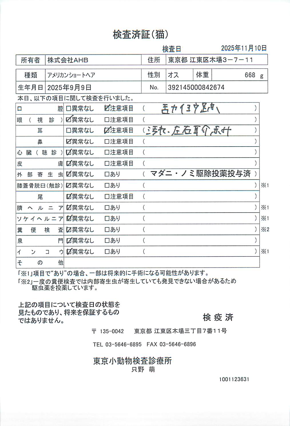 アメリカンショートヘア