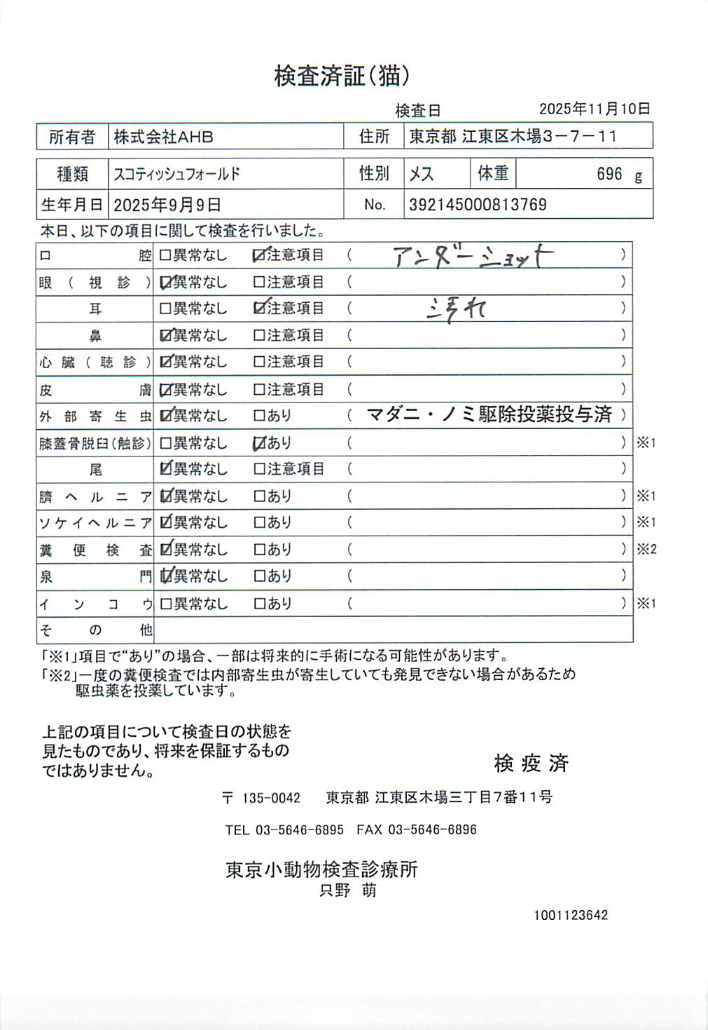 スコティッシュフォールド