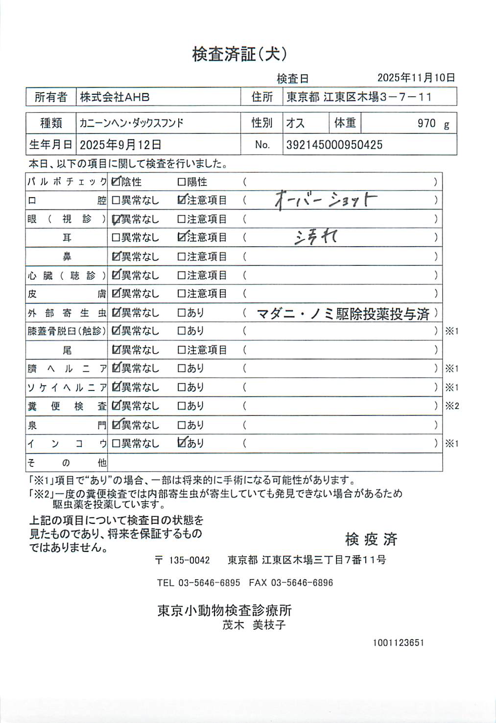 カニーンヘン・ダックスフンド